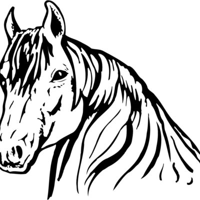 HORSE006 Thumbnail