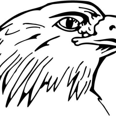 EAGLE014 Thumbnail
