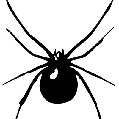 SPIDER03 Thumbnail