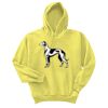 Unisex Ecosmart® Pullover Hooded Sweatshirt Thumbnail