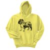 Unisex Ecosmart® Pullover Hooded Sweatshirt Thumbnail