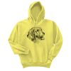 Unisex Ecosmart® Pullover Hooded Sweatshirt Thumbnail