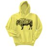 Unisex Ecosmart® Pullover Hooded Sweatshirt Thumbnail