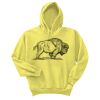 Unisex Ecosmart® Pullover Hooded Sweatshirt Thumbnail
