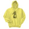 Unisex Ecosmart® Pullover Hooded Sweatshirt Thumbnail