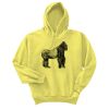 Unisex Ecosmart® Pullover Hooded Sweatshirt Thumbnail
