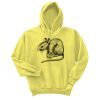 Unisex Ecosmart® Pullover Hooded Sweatshirt Thumbnail