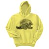 Unisex Ecosmart® Pullover Hooded Sweatshirt Thumbnail