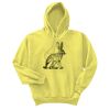 Unisex Ecosmart® Pullover Hooded Sweatshirt Thumbnail