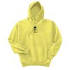 Unisex Ecosmart® Pullover Hooded Sweatshirt Thumbnail