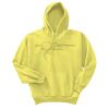 Unisex Ecosmart® Pullover Hooded Sweatshirt Thumbnail