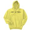 Unisex Ecosmart® Pullover Hooded Sweatshirt Thumbnail