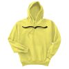 Unisex Ecosmart® Pullover Hooded Sweatshirt Thumbnail