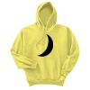 Unisex Ecosmart® Pullover Hooded Sweatshirt Thumbnail