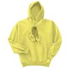 Unisex Ecosmart® Pullover Hooded Sweatshirt Thumbnail