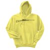 Unisex Ecosmart® Pullover Hooded Sweatshirt Thumbnail