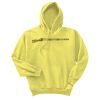 Unisex Ecosmart® Pullover Hooded Sweatshirt Thumbnail