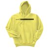 Unisex Ecosmart® Pullover Hooded Sweatshirt Thumbnail