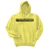 Unisex Ecosmart® Pullover Hooded Sweatshirt Thumbnail