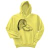 Unisex Ecosmart® Pullover Hooded Sweatshirt Thumbnail