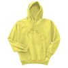 Unisex Ecosmart® Pullover Hooded Sweatshirt Thumbnail