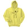 Unisex Ecosmart® Pullover Hooded Sweatshirt Thumbnail