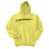 Unisex Ecosmart® Pullover Hooded Sweatshirt Thumbnail