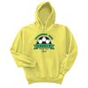 Unisex Ecosmart® Pullover Hooded Sweatshirt Thumbnail
