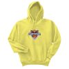 Unisex Ecosmart® Pullover Hooded Sweatshirt Thumbnail
