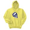 Unisex Ecosmart® Pullover Hooded Sweatshirt Thumbnail