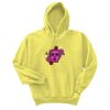 Unisex Ecosmart® Pullover Hooded Sweatshirt Thumbnail