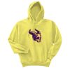 Unisex Ecosmart® Pullover Hooded Sweatshirt Thumbnail