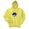 Unisex Ecosmart® Pullover Hooded Sweatshirt Thumbnail