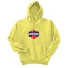 Unisex Ecosmart® Pullover Hooded Sweatshirt Thumbnail