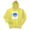 Unisex Ecosmart® Pullover Hooded Sweatshirt Thumbnail