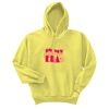 Unisex Ecosmart® Pullover Hooded Sweatshirt Thumbnail
