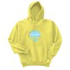 Unisex Ecosmart® Pullover Hooded Sweatshirt Thumbnail