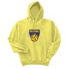 Unisex Ecosmart® Pullover Hooded Sweatshirt Thumbnail