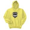 Unisex Ecosmart® Pullover Hooded Sweatshirt Thumbnail
