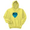 Unisex Ecosmart® Pullover Hooded Sweatshirt Thumbnail