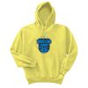 Unisex Ecosmart® Pullover Hooded Sweatshirt Thumbnail