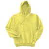 Unisex Ecosmart® Pullover Hooded Sweatshirt Thumbnail
