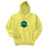 Unisex Ecosmart® Pullover Hooded Sweatshirt Thumbnail