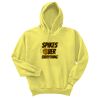 Unisex Ecosmart® Pullover Hooded Sweatshirt Thumbnail