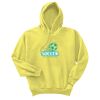Unisex Ecosmart® Pullover Hooded Sweatshirt Thumbnail