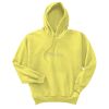 Unisex Ecosmart® Pullover Hooded Sweatshirt Thumbnail