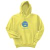 Unisex Ecosmart® Pullover Hooded Sweatshirt Thumbnail