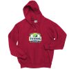 Adult EcoSmart® Full-Zip Hooded Sweatshirt Thumbnail