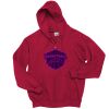 Adult EcoSmart® Full-Zip Hooded Sweatshirt Thumbnail