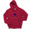 Adult EcoSmart® Full-Zip Hooded Sweatshirt Thumbnail